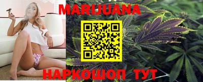 гидра Шебекино