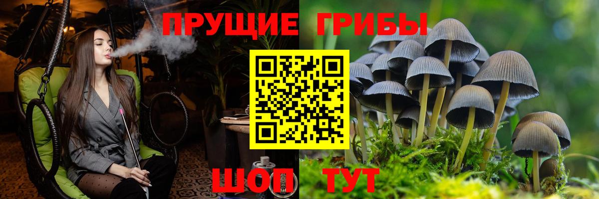 Галлюциногенные грибы GOLDEN TEACHER Ахтубинск